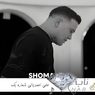 دانلود آهنگ درخت پیری شدم ریشه خشکیده غم ریمیکس علی احمدیانی
