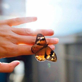 دانلود آهنگ قرار نبود خاطرات بشه داغی رو قلبم ریمیکس رامین تجنگی